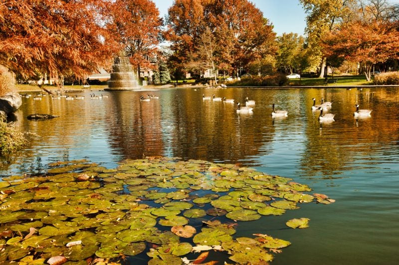 Columbus, OH direct cremation