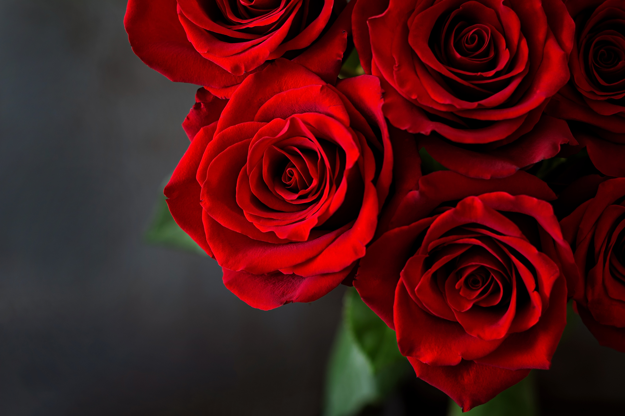 direct cremation with a Gahanna, OH