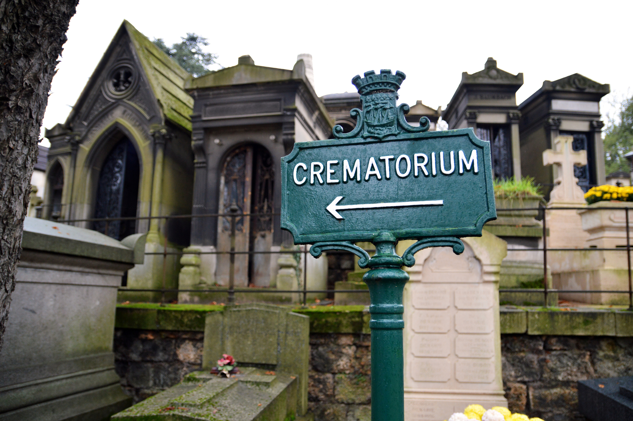 direct cremation in Westerville, OH