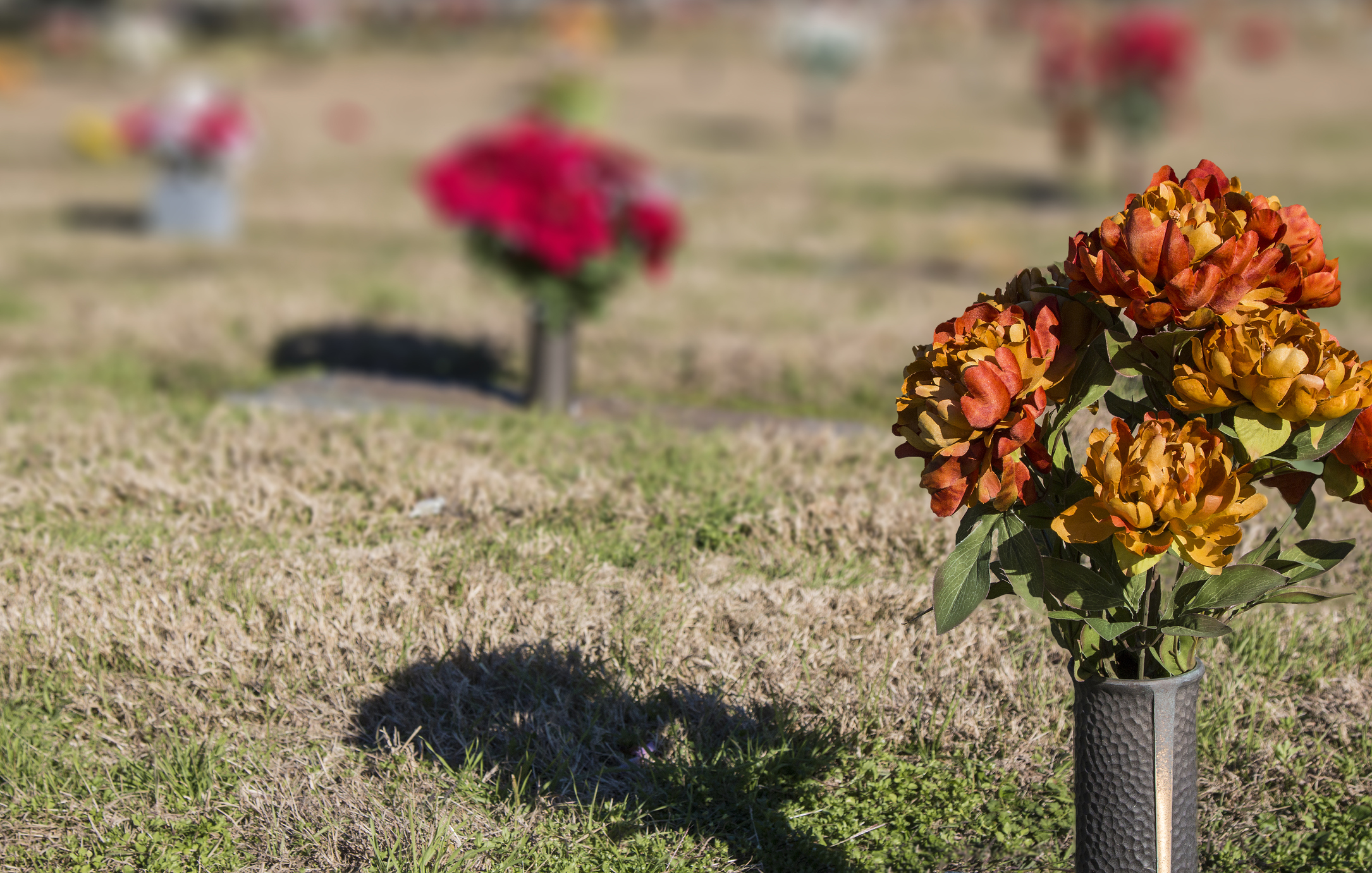 direct cremation in Westerville, OH