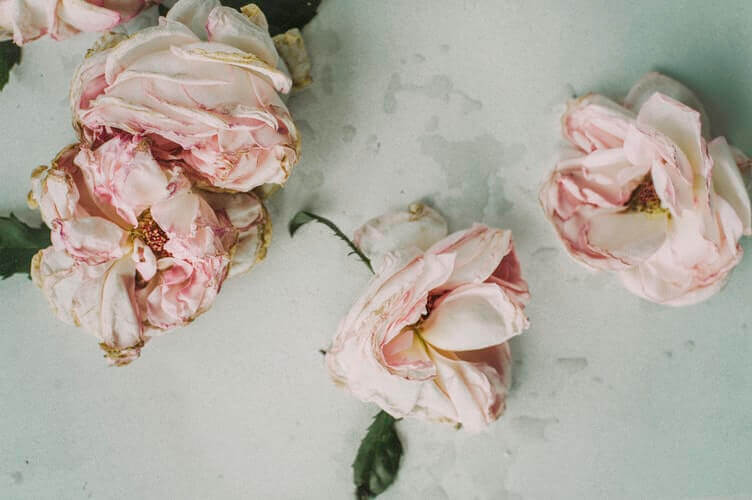 cremation services in Columbus, OH