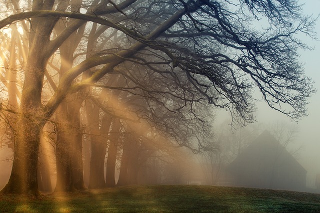 cremations in Columbus OH