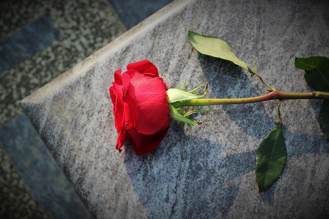 direct cremation services in Columbus OH