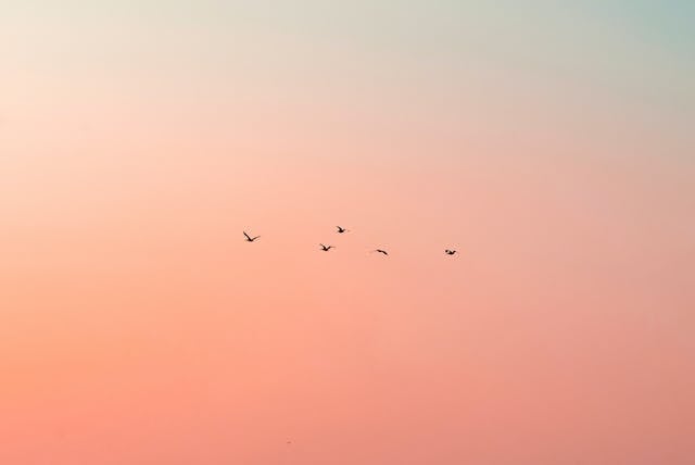 cremation services Columbus, OH