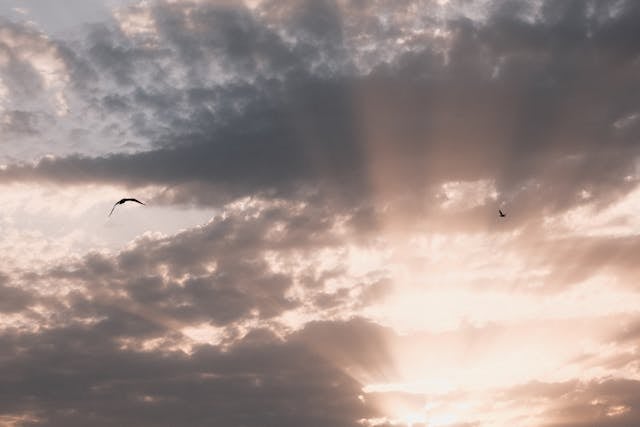 Soft sunbeams break through layered clouds as two birds glide across the sky, creating a calm, uplifting scene with cremation services in Columbus, OH